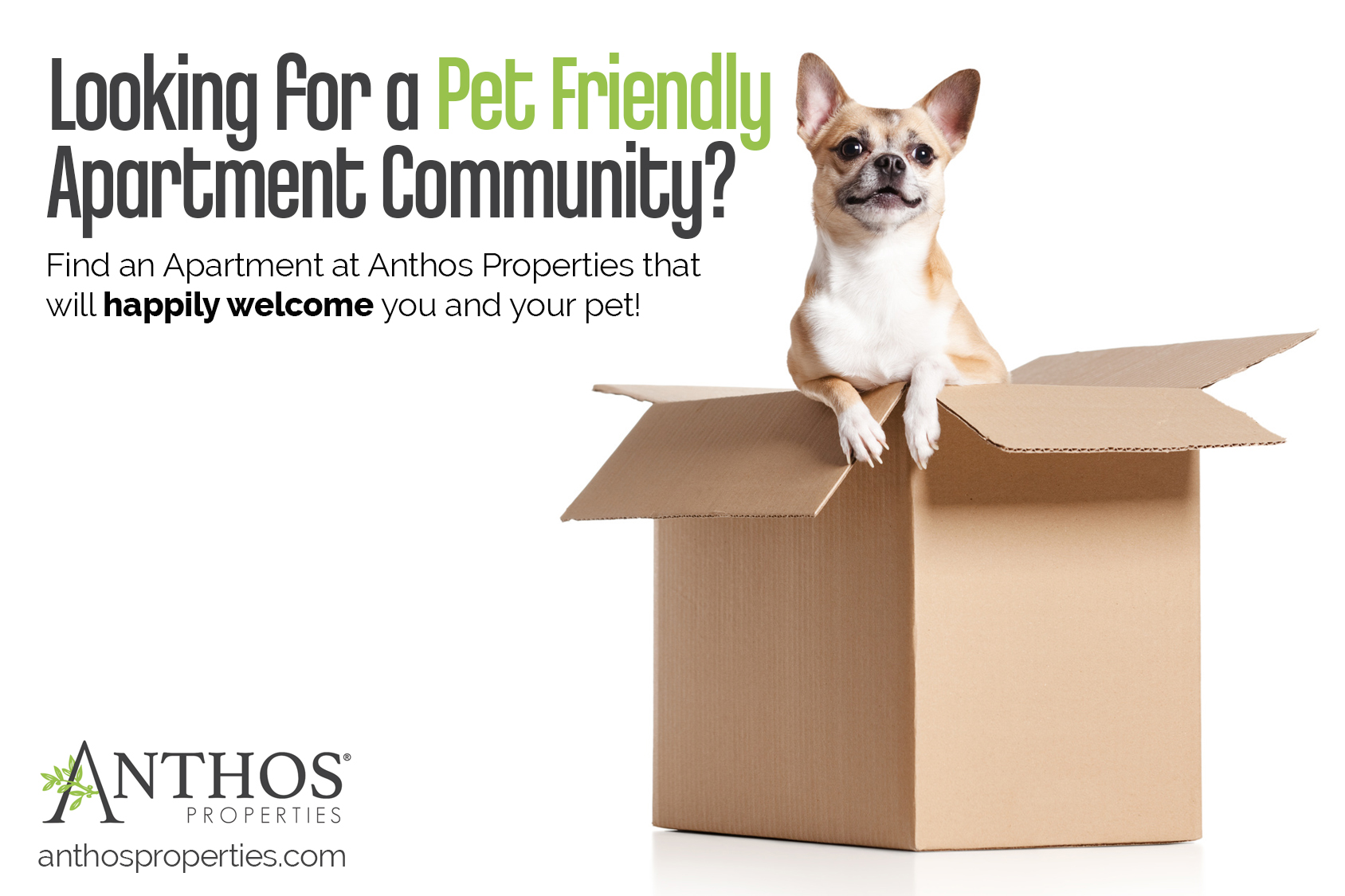 Pet Friendly Apartments - Anthos Properties